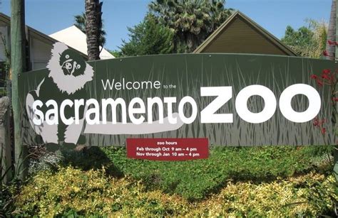 Zoo sacramento - Updated: 12:11 PM PST December 26, 2023. SACRAMENTO, Calif. — Extinct animals will digitally roam the grounds of the Sacramento Zoo starting …